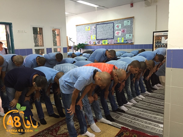 shamela salah dohr (5).jpg